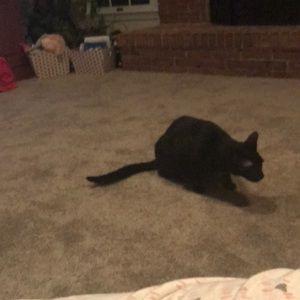 Meet your Posher, John